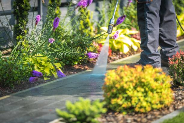 Best Driveway Pressure Washing  in Vernon, TX